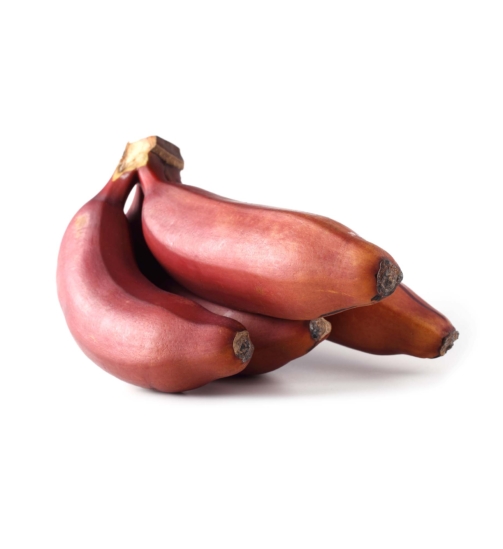 buy red bananas