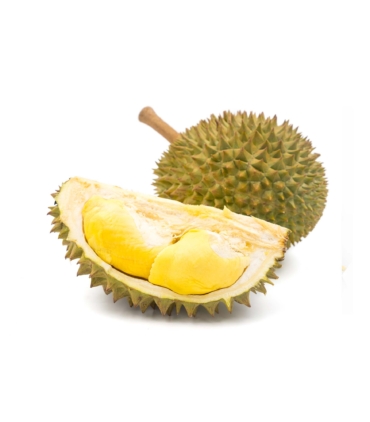 buy Monthong Durian