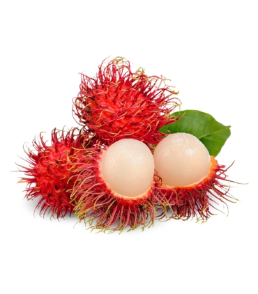 Buy rambutan fruits online