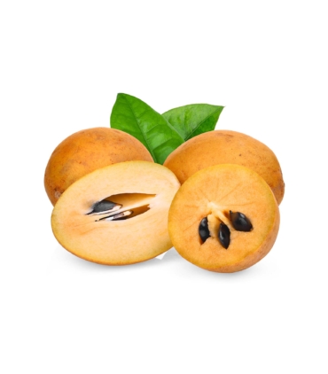 Buy Sapodilla online