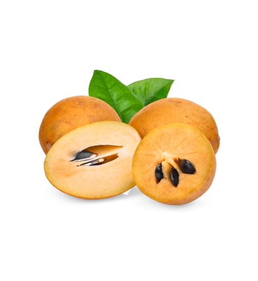 Buy Sapodilla online