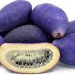 buy exotic fruits near me