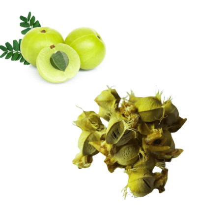 buy amla seeds