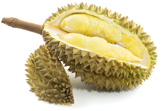 durian