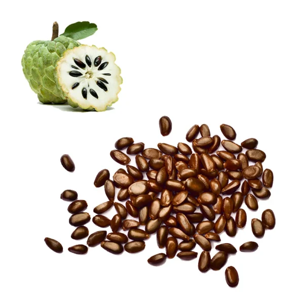 Buy Sugar Apple Seeds