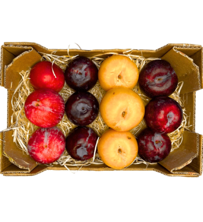 buy exotic fruits usa