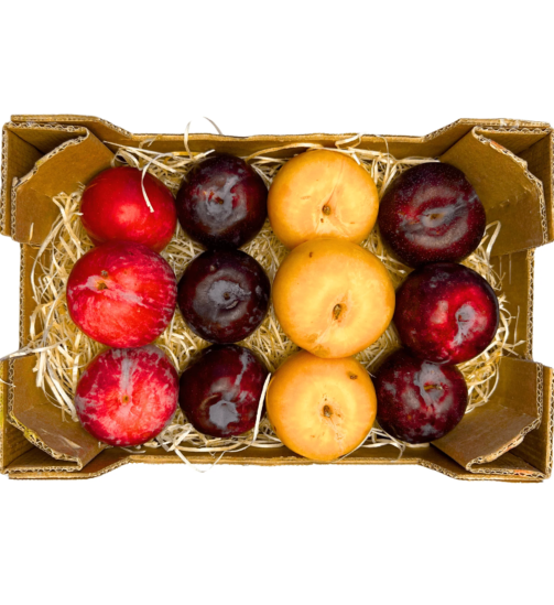 buy exotic fruits usa