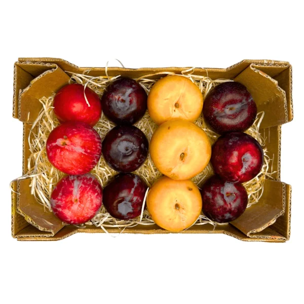 buy exotic fruits usa